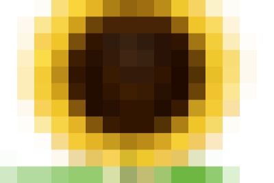 ​ HIẾN MÁU CỨU NGƯỜI – GIỌT HỒNG TỪ TRÁI TIM ​